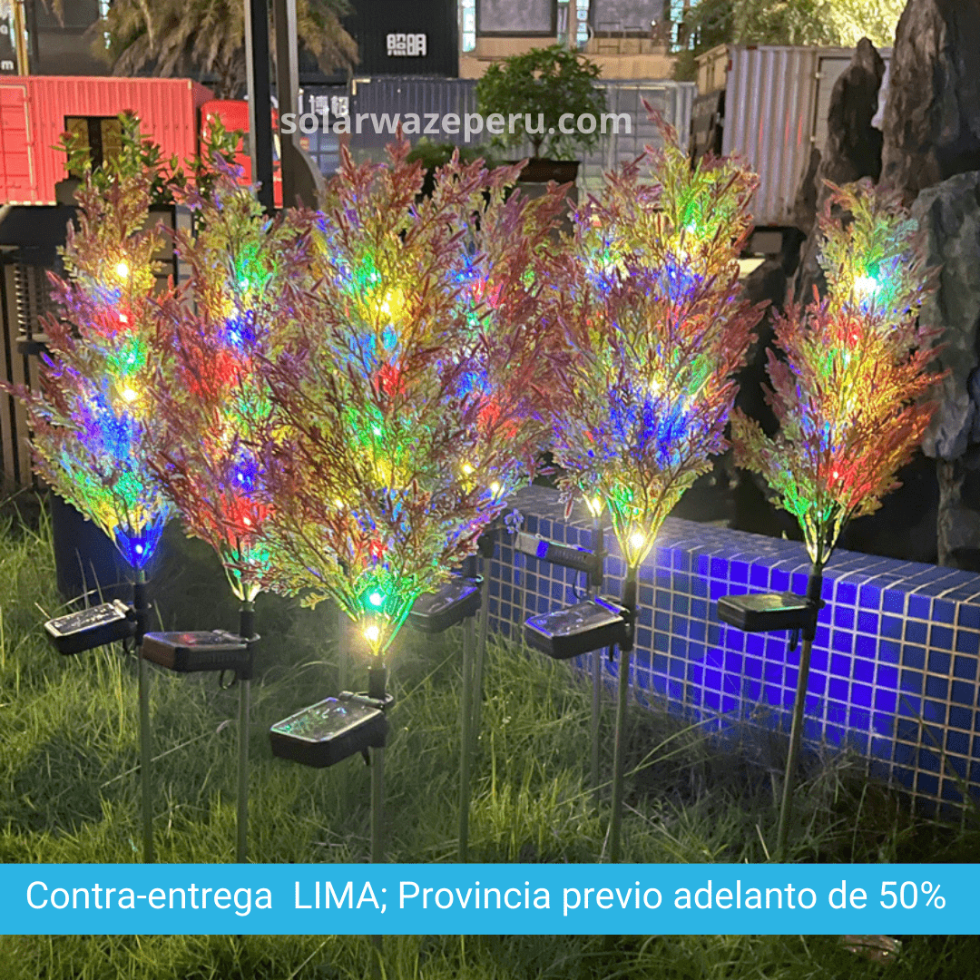 CIPRES° Solar multicolor - Decoración Navideña para jardín ( Set 2 Piezas)