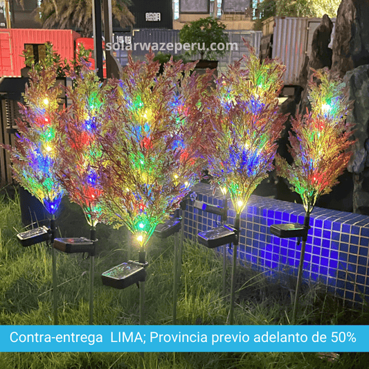 CIPRES° Solar multicolor - Decoración Navideña para jardín ( Set 2 Piezas)