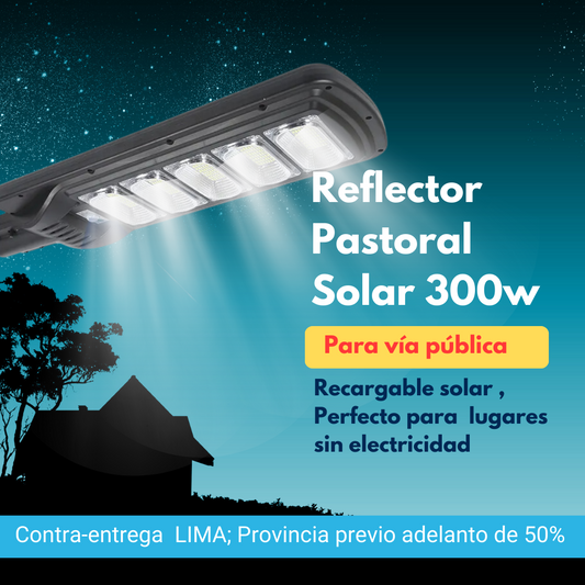 Reflector Solar  300W para vía publica- Cafini°- ( Contra entrega solo LIMA)