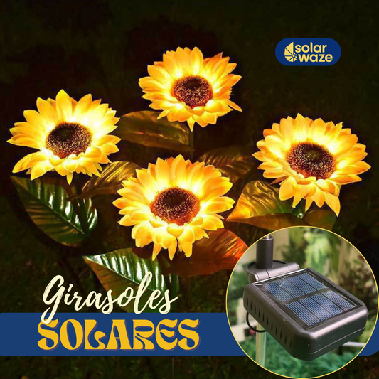 GIRASOLES SOLARES WAZER